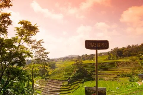 Landscape view of rice fields in Trawas Mojokerto Foto stock