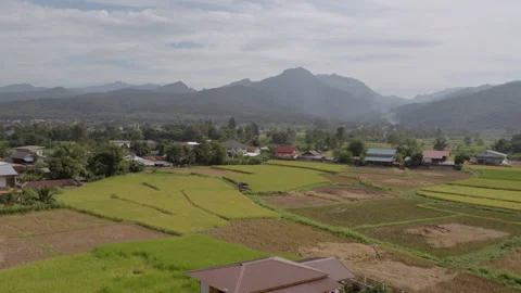 Landscape view of the rice paddy field and far mountains in Nan Stock Footage 219790638