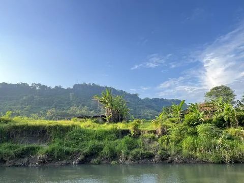 Landscape view of river, forest with panoramic mountain Stock Photos
