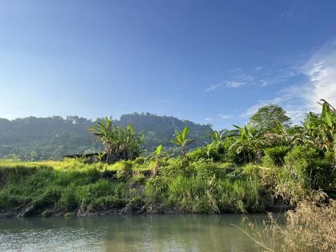 Landscape view of river, forest with panoramic mountain Stock Photos