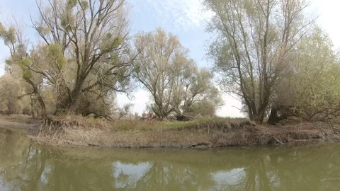 Landscape view of riverside from the moving boat. Stock Footage 99722417
