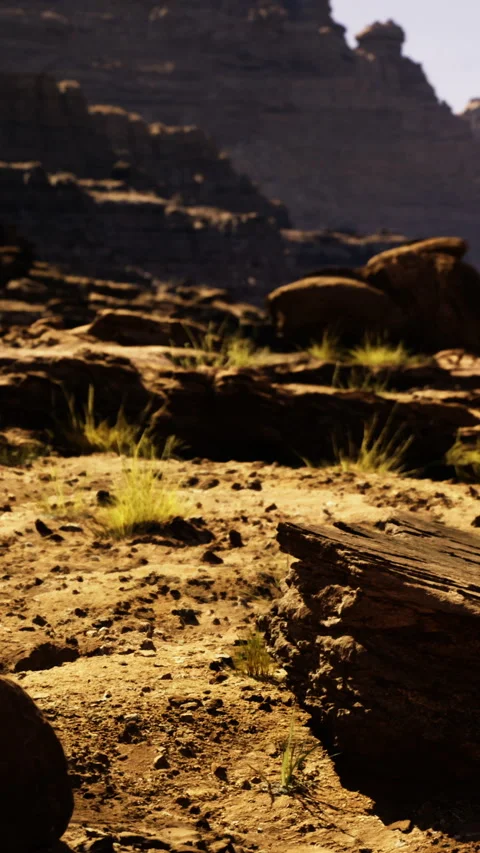 Landscape view with rocks and grass in a dry area during the day Stock Footage 331752814
