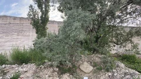 Landscape with a view of the rocks in the Inkerman quarry. Sevastopol, Crimea Vidéo 157441772