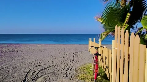 Landscape View Scene of palm Trees on the Beach. Old Bicycle Parked. Stock Footage 231567448