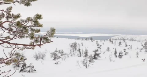 Landscape view of a snow-covered gentle hillside with small pine trees Stock-Footage 176759983