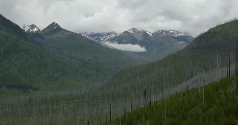 Landscape view of snow covered mountains with green hills Stock Footage 97608085