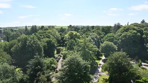 Landscape view from St Finbar's Cathedral in Cork Stock Footage 278893539