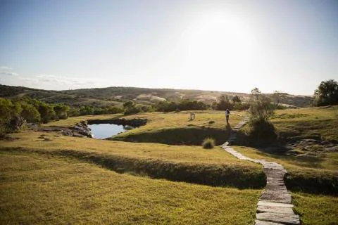Landscape view of a stone pathway through a field Stock Photos