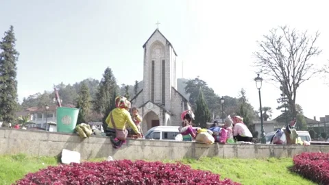 LANDSCAPE VIEW in summer 스톡 동영상 154231164