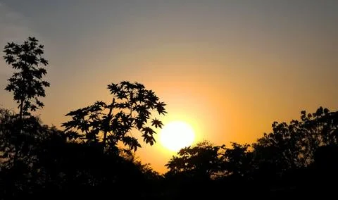 Landscape view of sun set behind trees Stock Photos
