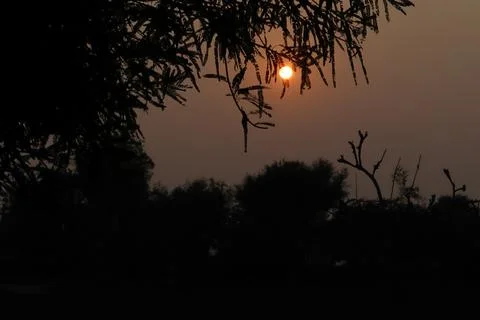 Landscape view of The sun sets behind the silhouette trees and leaves in the  Stock Photos