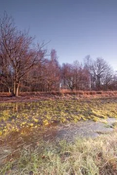 Landscape view sunset, reflection of trees in the water, blue sky Stock Photos