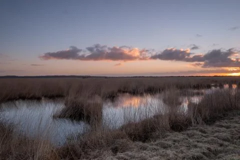 Landscape view sunset, water reflection, large nature reserve with peat soil Stock Photos