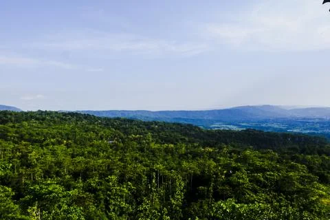 The landscape view with trees and clouds Stock Photos