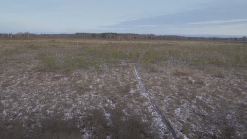 Landscape view of the trees on the fields in Estonia Stock Footage 126482427