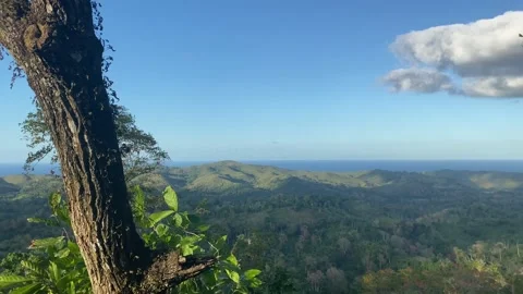 Landscape view from uphill Stock Footage 237971432