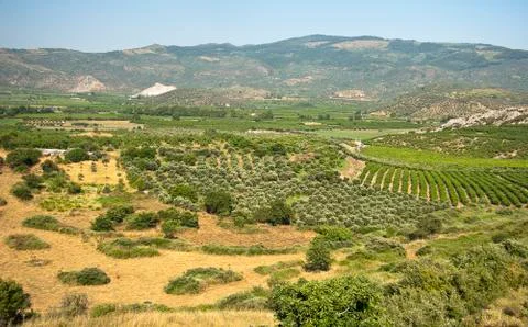 Landscape view of valley Stock Photos