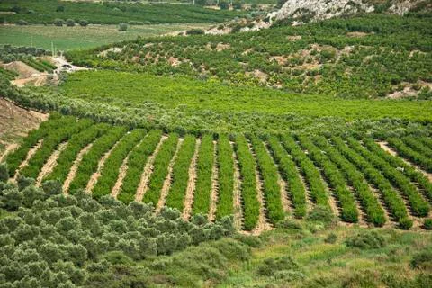 Landscape view of valley Stock Photos