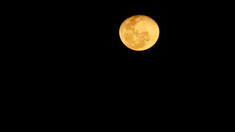 Landscape view of a vivid yellow orange hue full moon with visible craters at a Stock Footage 345182586