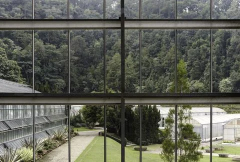 Landscape view from the window for relaxing time, green nature beside the win Foto stock