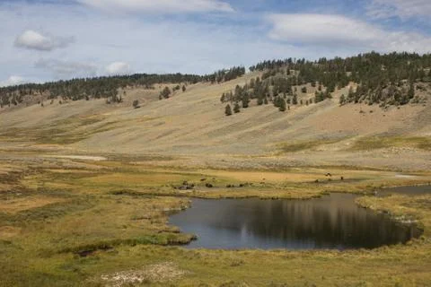 Landscape view Yellowstone Stock Photos