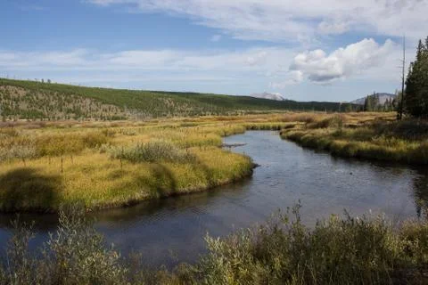 Landscape view Yellowstone Stock Photos