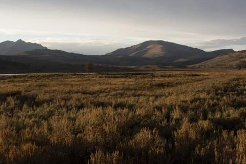 Landscape view Yellowstone Stock Photos