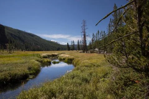 Landscape view Yellowstone Stock Photos