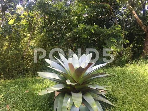 Landscape, views, attractions of Rio de Janeiro. Stock Photos
