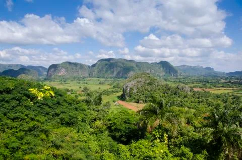 Landscape, Vinales, Cuba Stock Photos