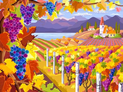 Landscape with vineyard Stock Illustration