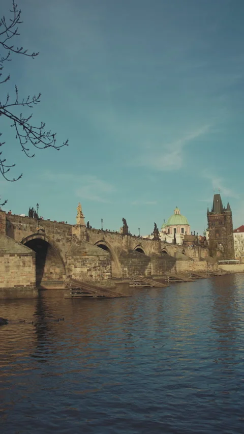 Landscape with Vltava river Video stock 221265239