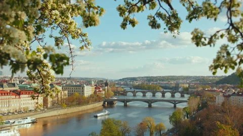Landscape with Vltava river through foliage Stock Footage 185168633