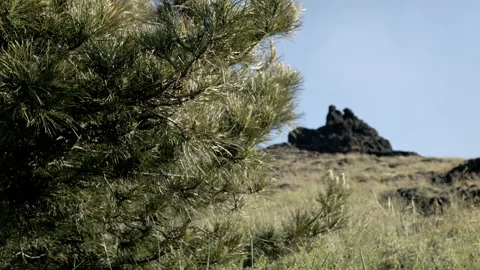 Landscape of volcano etna rocks Video stock 233711677