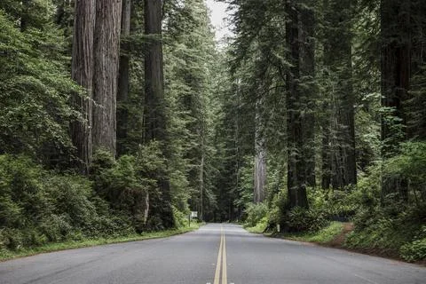 Landscape Wallpaper 库存照片
