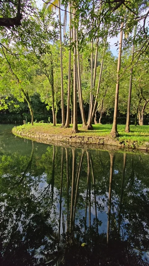 Landscape with water reflection in park. Stock Footage 279792607