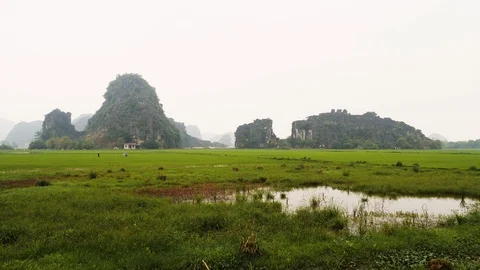 Landscape of water soaked rice fields between mountains at ninh binh province Stock Footage 147351348