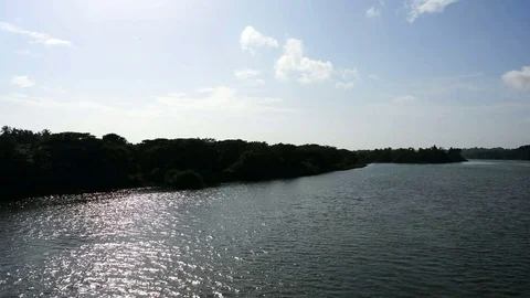 Landscape of water surface Stock Footage 83008295