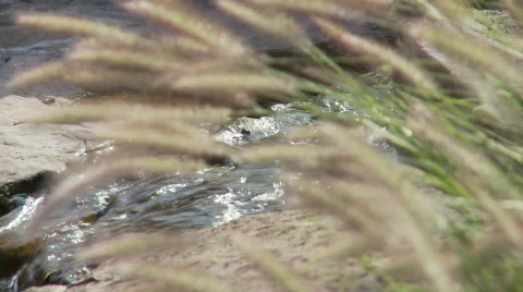 Landscape waterfall 2 (P5) Stock Footage 489619