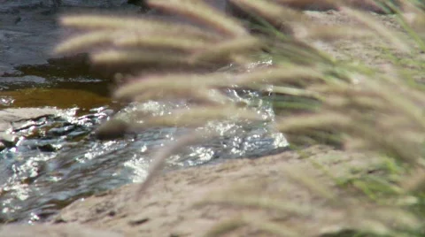 Landscape waterfall 3 (P5) Stock Footage 489622