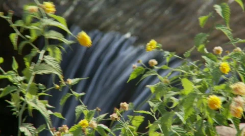 Landscape waterfall 5 (P5) Stock Footage 489625