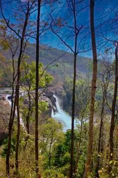 A landscape of a waterfall behind trees Stock Photos