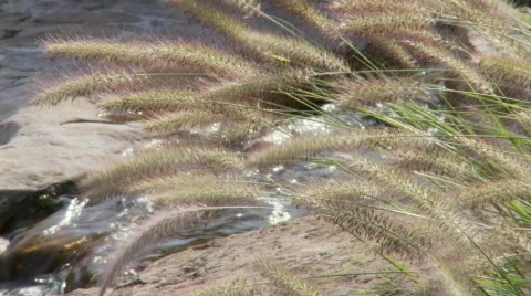 Landscape waterfall (P5) Stock Footage 489617