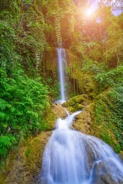 Landscape Waterfall Stock Photos