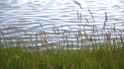 Landscape on waterfront and water surface. Stock Footage 50579432