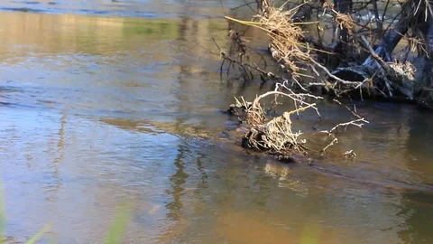 Landscape. the waters of the river flow along the shore between the stones 3 Stock Footage 106411557