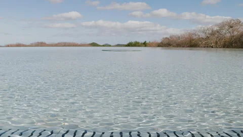 A landscape with waves swaying in the wind. Stock Footage 166790662