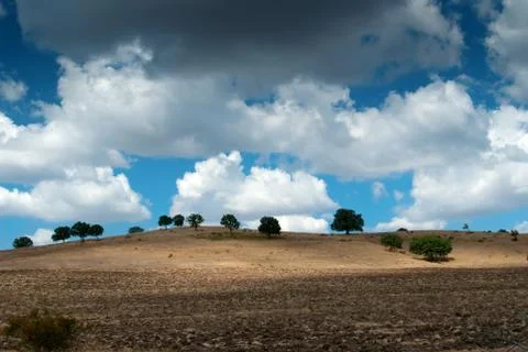 Landscape whit clouds an d trees Stock Photos