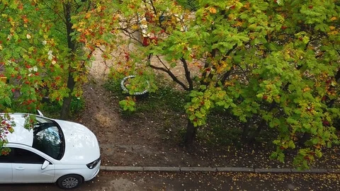 Landscape with a white car Stock-Footage 115570034