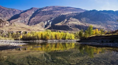 Landscape Wildlife Stock Footage 48893246